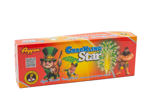 Ayyan Crackling Star Flower Pot