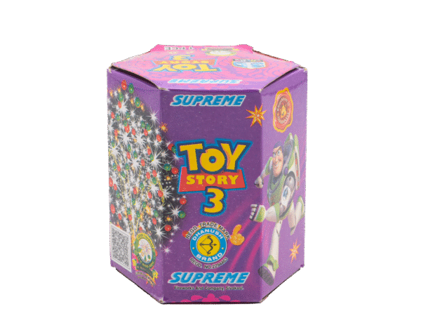 Supreme TOY STORY Flower Pot