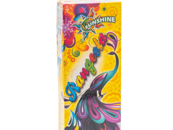 SUNSHINE Rangeela Flower pots