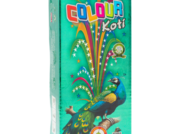 R.R Colour koti Flower Pots