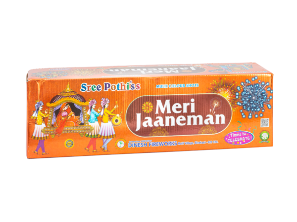 POTHIS MERI JAANEMAN 100 SHOTS MULTICOLOUR